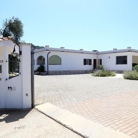 Annaluce Apartments Vieste Exterior foto